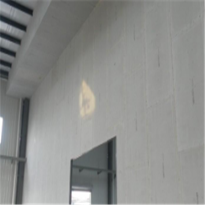 上虞宁波ALC板|EPS加气板隔墙与混凝土整浇联接的实验研讨